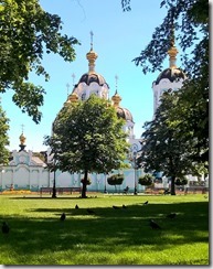 WP_20150803_12_56_44_Pro