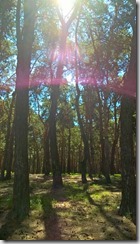 WP_20150804_13_20_44_Pro