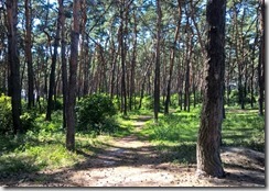 WP_20150805_14_32_00_Pro