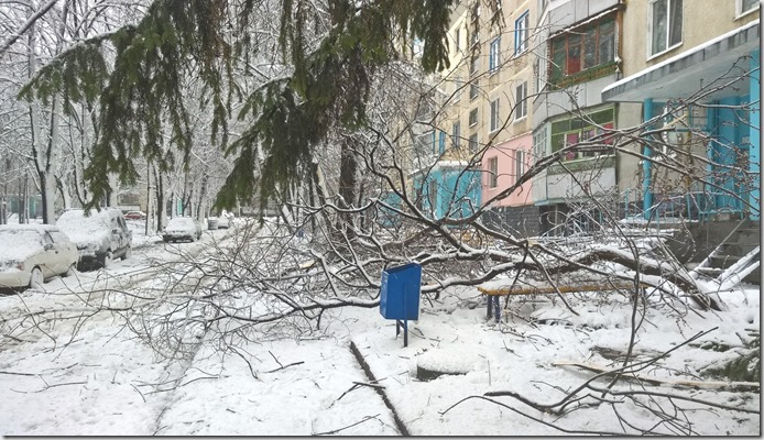 WP_20151202_11_36_08_Pro