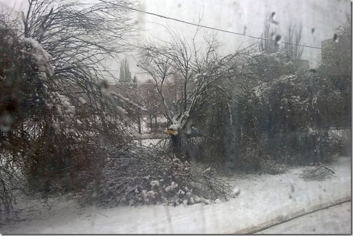 WP_20151203_12_03_07_Pro