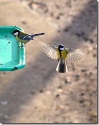 DSC_9401 DSC_9401