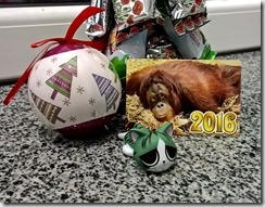 WP_20151230_23_10_13_Pro