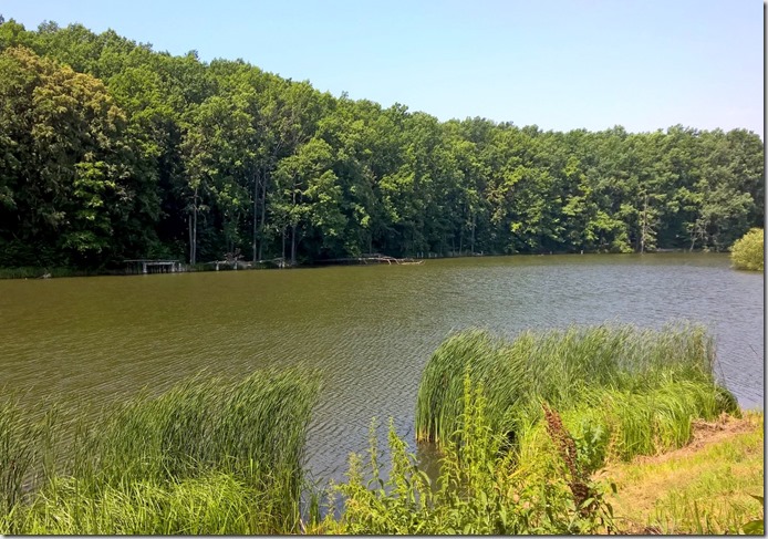 WP_20150707_12_00_46_Pro