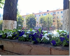 WP_20150724_13_39_14_Pro