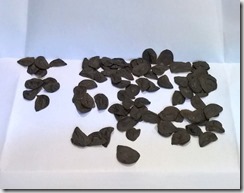 WP_20150731_17_33_14_Pro