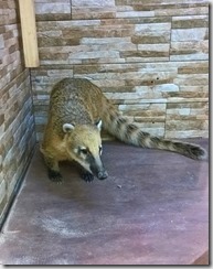 WP_20150605_11_45_34_Rich