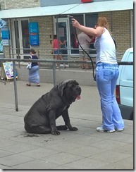 WP_20150624_11_39_40_Pro