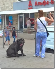 WP_20150624_11_39_43_Pro