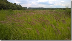 WP_20150625_14_24_14_Pro