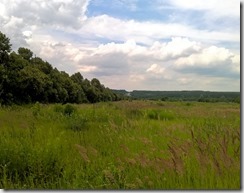 WP_20150625_14_24_19_Pro