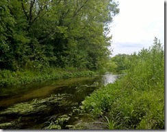 WP_20150625_14_37_50_Pro