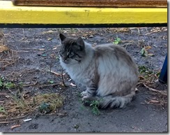 WP_20151119_13_58_47_Pro