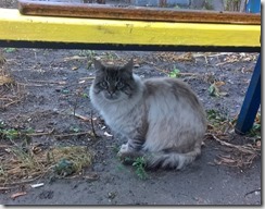 WP_20151119_13_58_50_Pro