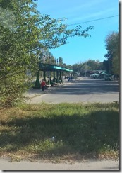 WP_20151002_13_20_44_Pro