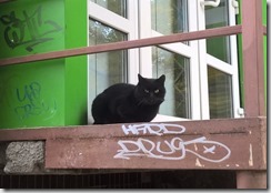 WP_20151022_14_17_23_Pro