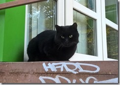 WP_20151022_14_17_35_Pro