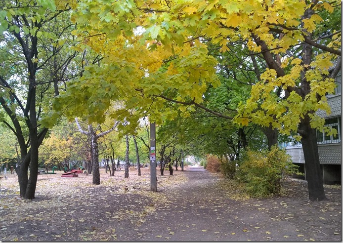 WP_20151022_14_37_41_Pro