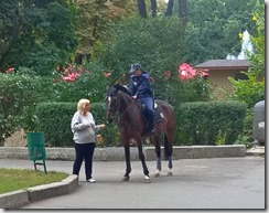 WP_20150913_12_12_15_Pro