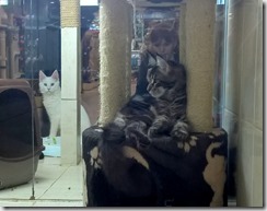 WP_20150913_14_51_23_Pro