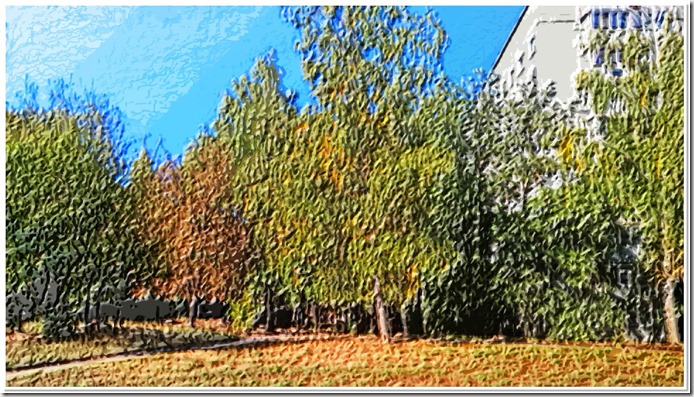 WP_20150918_14_46_22_Pro3