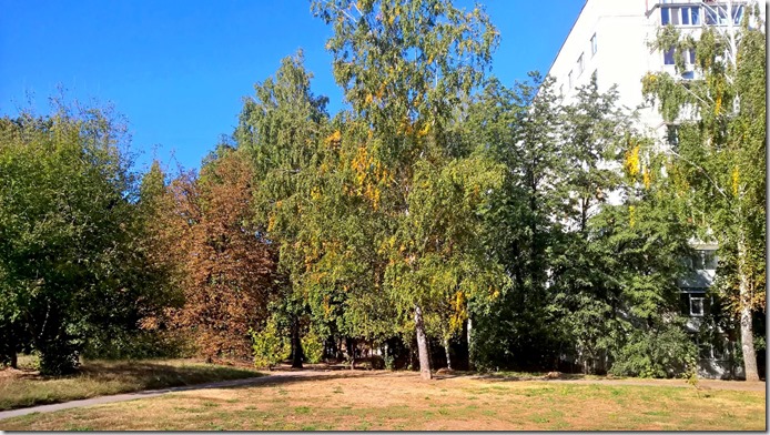 WP_20150918_14_46_22_Pro